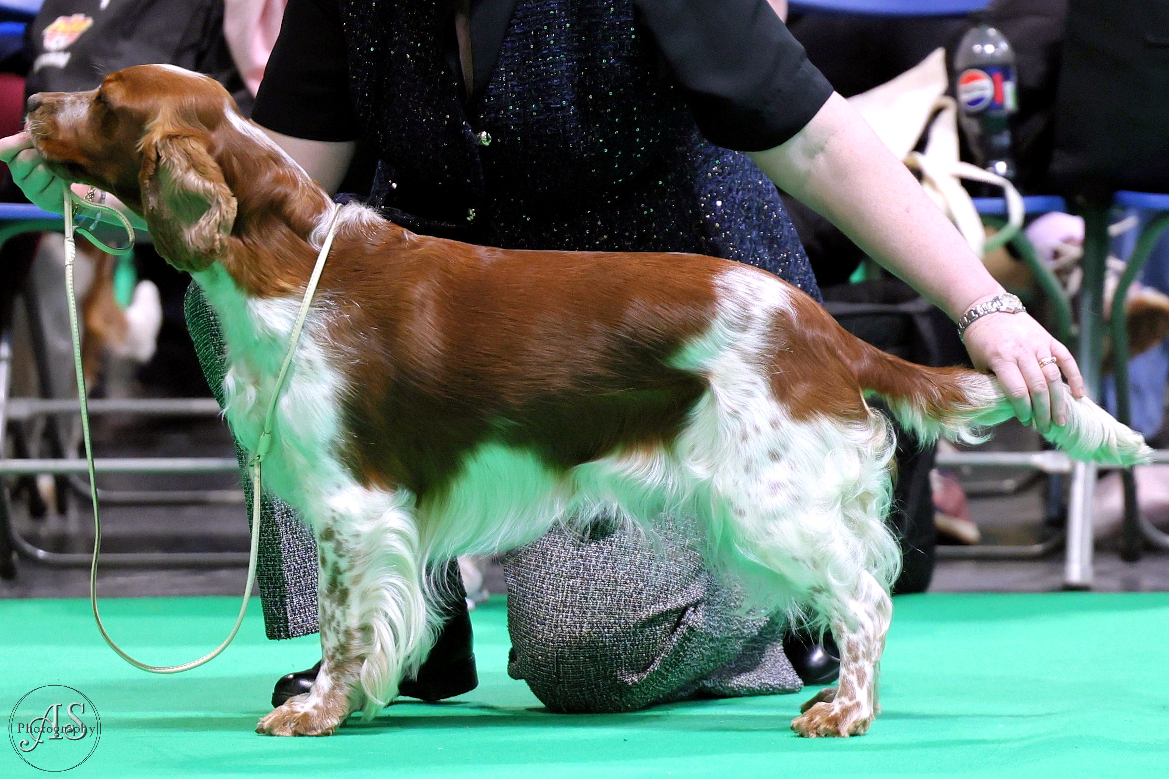 Cora Crufts 2026